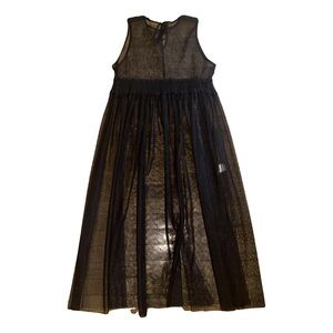 Ray beams Sheer Black Sleeveless chiffon organza Dress